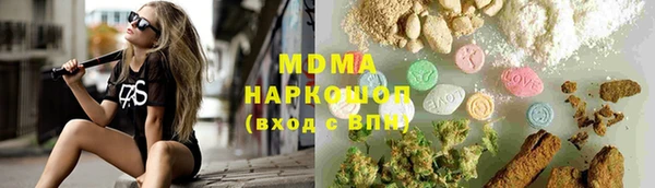 хмурый Аркадак