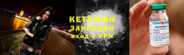 хмурый Аркадак