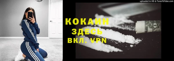 индика Алексин