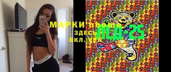 хмурый Аркадак