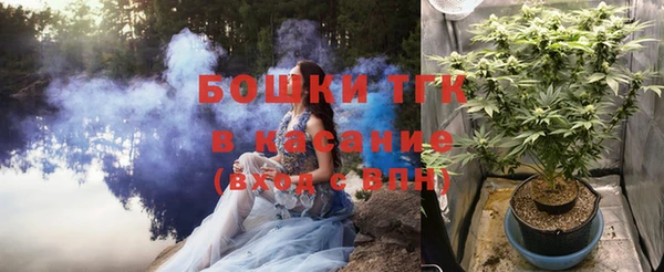 хмурый Аркадак