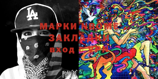 хмурый Аркадак
