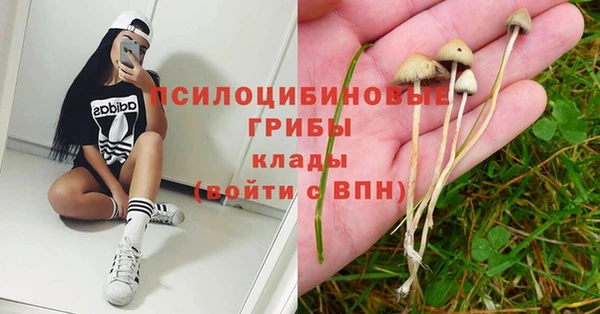 прущая мука Армянск