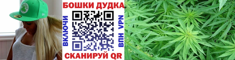 Купить  Славск  Конопля ГИДРОПОН 